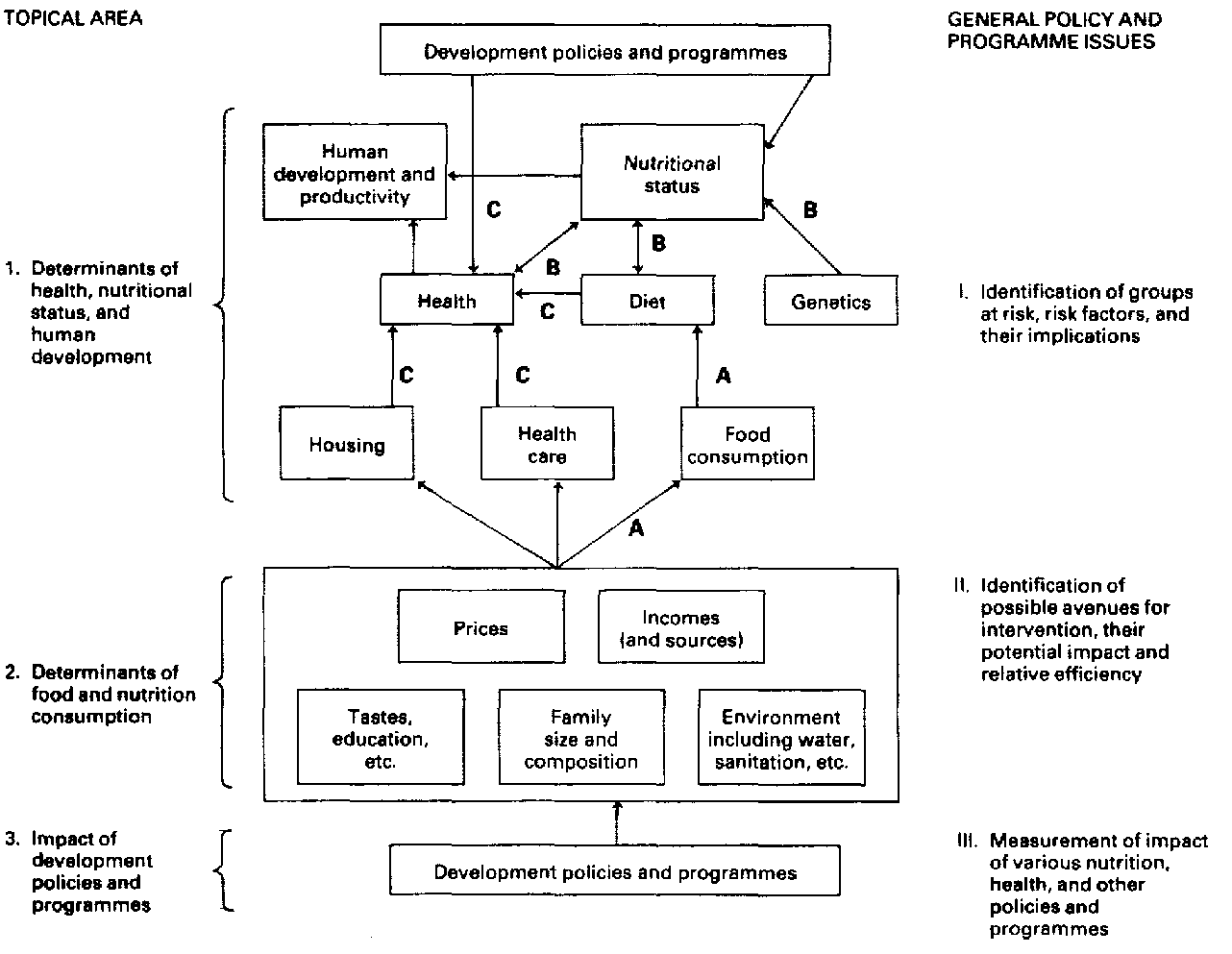 Microeconomics research paper outline