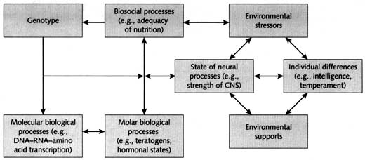 What are the principles of growth and development in psychology?