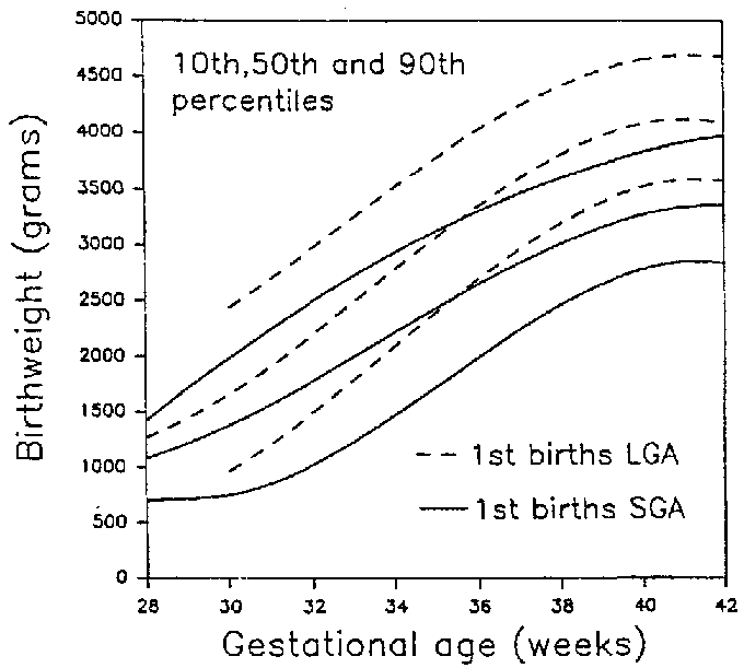 Pregnancy Time Baby Growth Chart