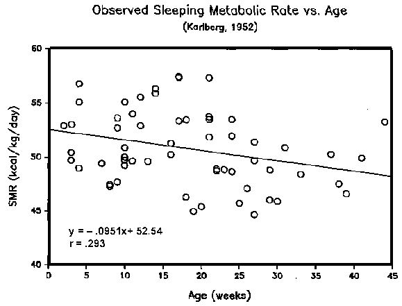 basal metabolic