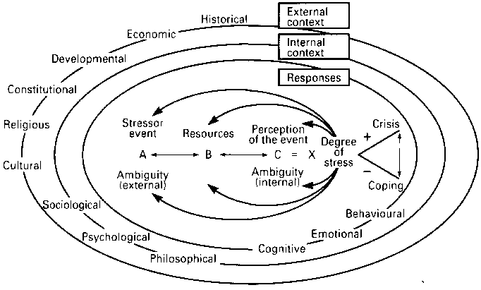 Family Stress Theory