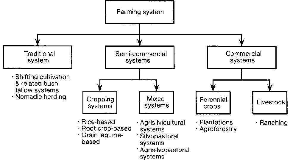 Types Of Agriculture Chart