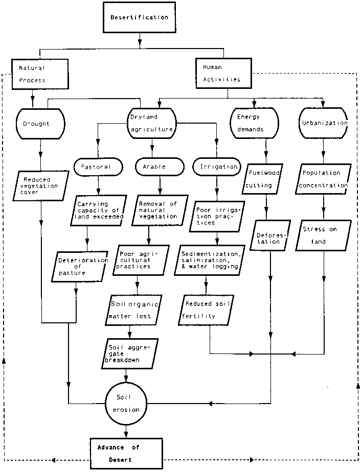 desertification diagram